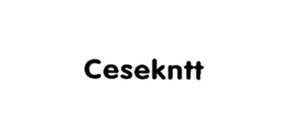 cesekntt