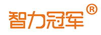 智力冠军