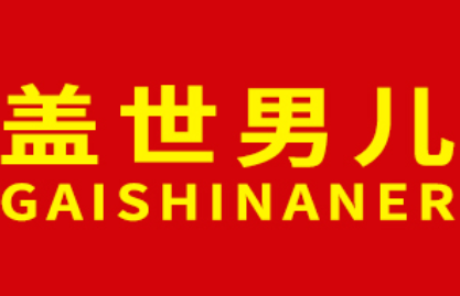 盖世男儿/GAISHINANER