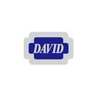 大卫/David