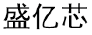 盛亿芯