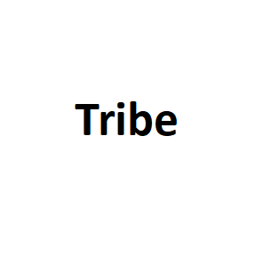 Tribe