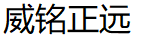 威铭正远/Vsion