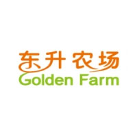 东升