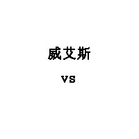 威艾斯/vs