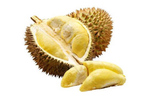 金枕榴莲