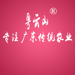 粤云山