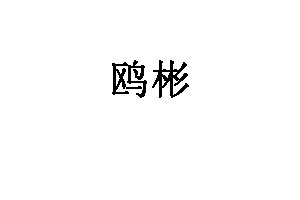 鸥彬