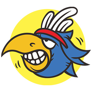 疯的鸟/CRAZYBIRD