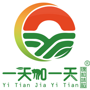 一天加一天