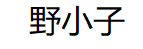 野小子/Wildboy