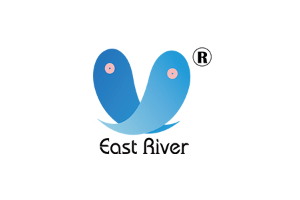 East River