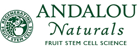 Andalou Naturals