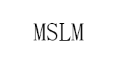 MSLM
