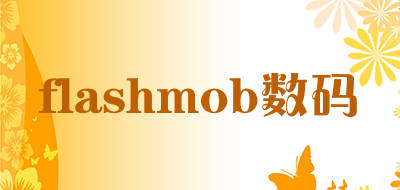 flashmob数码