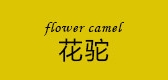 flowercamel