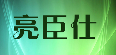 亮臣仕