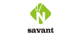 savant