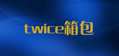 twice箱包