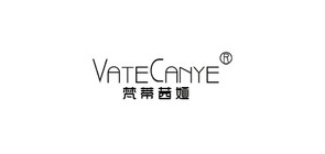 vatecanye服饰