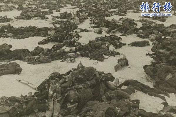 柏林战役上榜(双方共计伤亡130万以上)-世界上死亡人数最多的战役