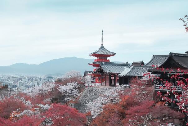 日本京都好玩的地方有哪些-日本京都十大好玩的地方排名-日本京都旅游必去的地方