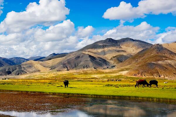 雅江著名景点-雅江十大景点排行榜-雅江十大必去景点排行榜