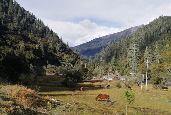 墨脱著名景点-墨脱十大景点排行榜-墨脱十大必去景点排行榜