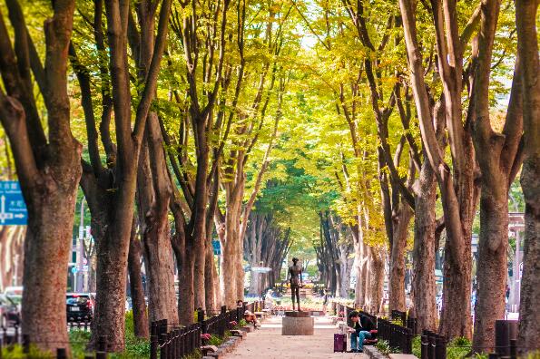 仙台著名景点-仙台十大景点排行榜-仙台十大必去景点排行榜