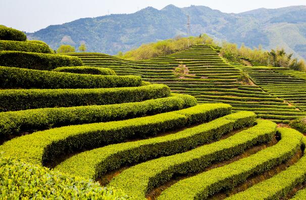 遂昌著名景点-遂昌十大景点排行榜-遂昌十大必去景点排行榜