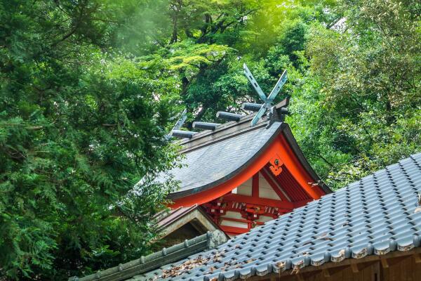 宫崎著名景点-宫崎十大景点排行榜-宫崎十大必去景点排行榜