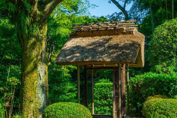 宇都宫市著名景点-宇都宫市十大景点排行榜-宇都宫市十大必去景点排行榜