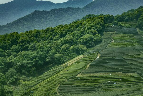 平阳著名景点-平阳十大景点排行榜-平阳十大必去景点排行榜