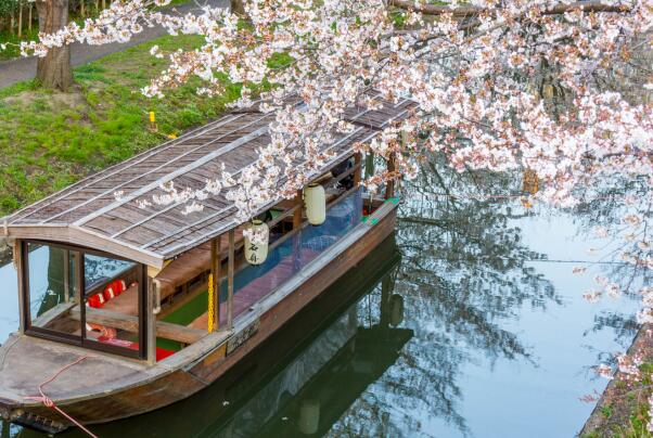 十和田市著名景点-十和田市十大景点排行榜-十和田市十大必去景点排行榜