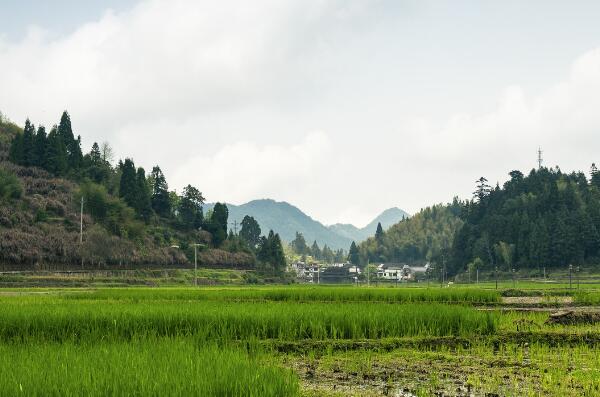 景宁著名景点-景宁十大景点排行榜-景宁十大必去景点排行榜