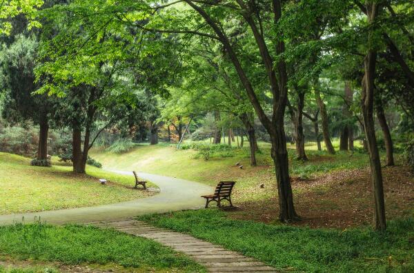 金昌市金川区景点-金昌金川区十大旅游景点-金川区十大必去景点排行榜