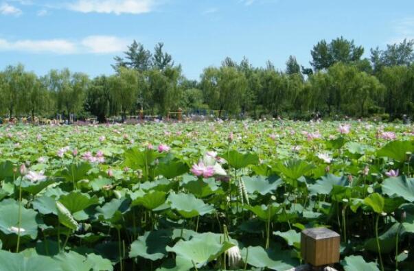 华亭市著名景点-华亭市十大景点排行榜-华亭市十大必去景点排行榜