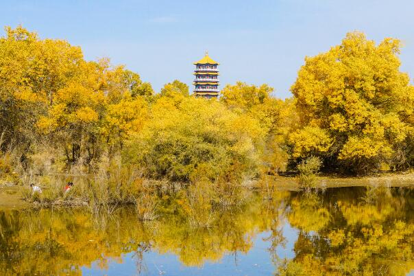 金塔县著名景点-酒泉金塔县十大景点排行榜-金塔县十大必去景点排行榜