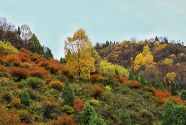 互助县著名景点-互助县十大景点排行榜-互助县十大必去景点排行榜