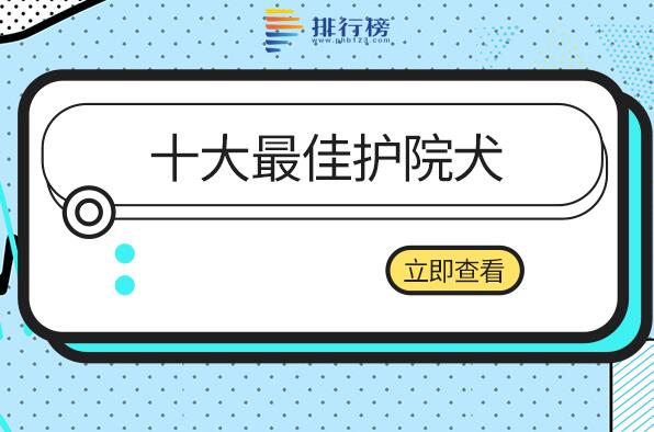 什么犬看家护院护主最好-十大最佳护院犬-最适合看家护院的狗