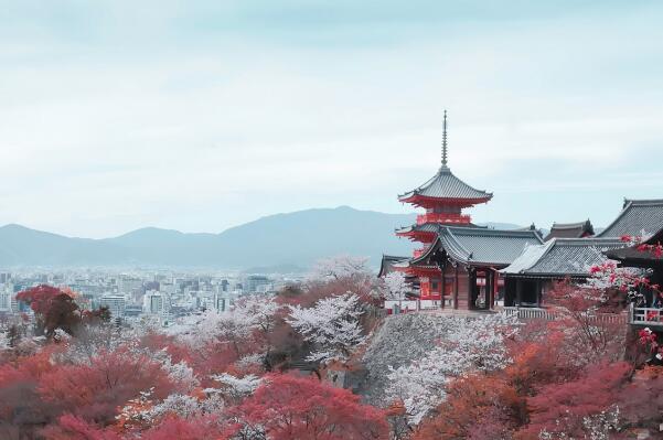 日本gdp最高的城市是哪个-日本GDP最高十大城市-日本城市gdp排行榜前十名