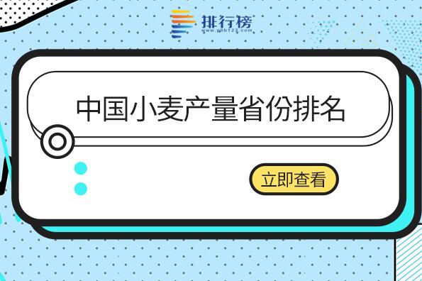 中国小麦产量最大的省份是哪个-中国小麦产量省份排名-小麦产量最高的省份排名前十