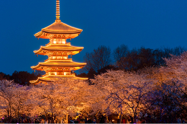 武汉市景点一日游攻略-武汉市一日游必去景点-武汉一日游最佳景点