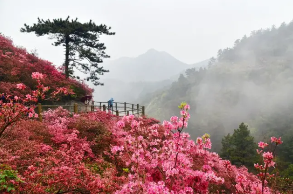 武汉周边乡村自驾游玩景点推荐-武汉周边乡村一日游