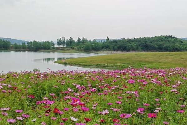 周边十堰适合露营野餐的地方排行榜-十堰周边野炊露营的地方排行榜