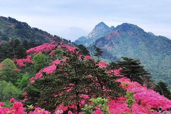 黄冈有哪些有名的景点-黄冈旅游必去十大景点排行榜