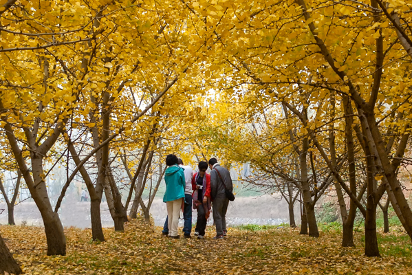 随州旅游必去十大景点排行榜-随州十大旅游景点排行榜