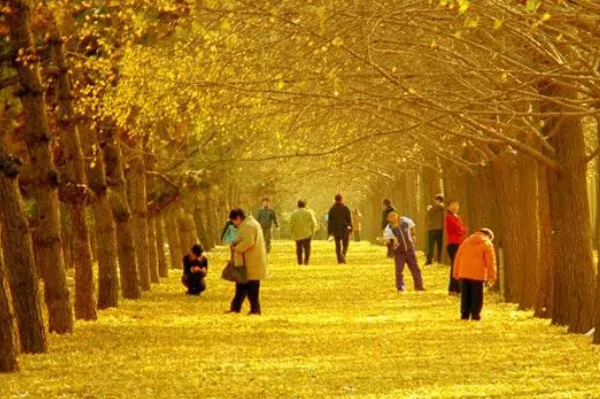 随州市旅游景点大全-随州景点排行榜前十名