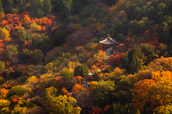 秋季北京值得打卡的地方排行榜-秋季旅游北京最佳之地排行榜