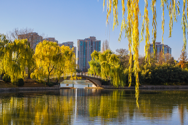 北京小众打卡景点排行榜-北京值得逛的小众地方排行榜